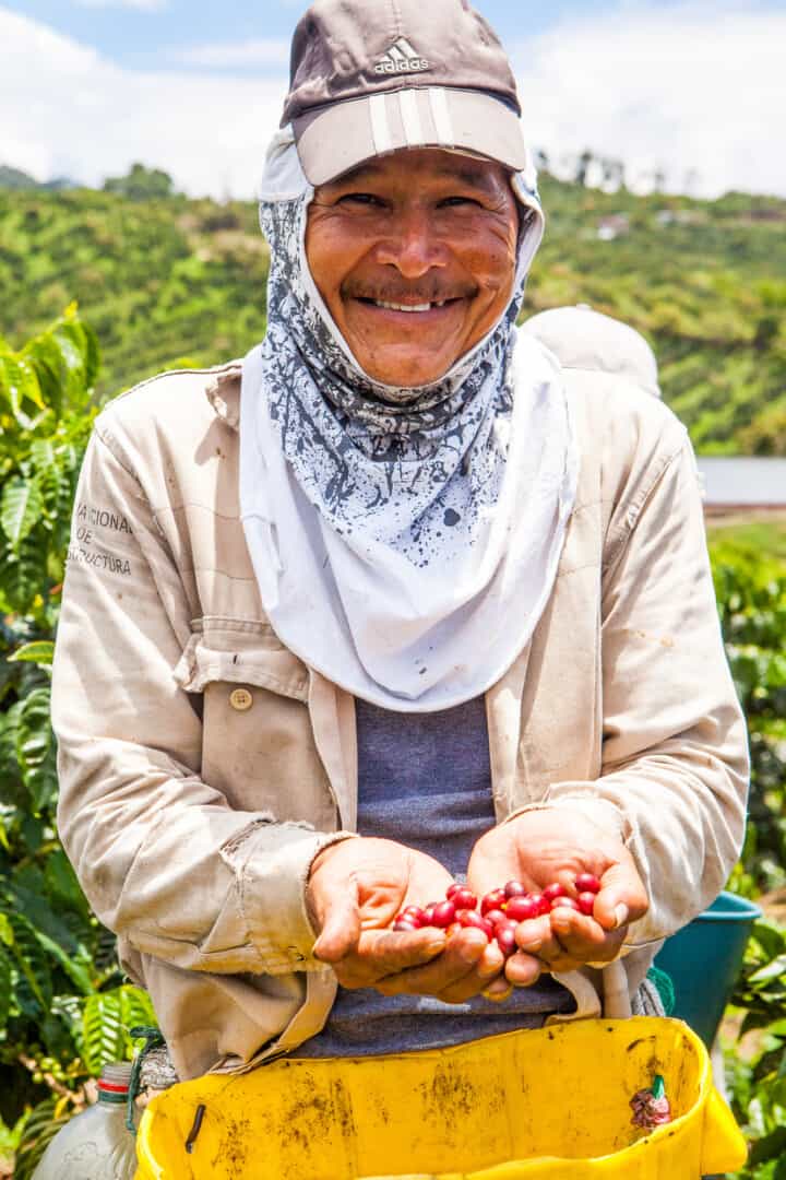 HERNANDO MOSTRANDO coffee farmer with coffee cherries